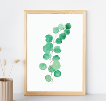 Lade das Bild in den Galerie-Viewer, Kunstdruck Eukalyptus Zweig