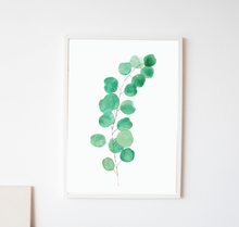 Lade das Bild in den Galerie-Viewer, Kunstdruck Eukalyptus Zweig