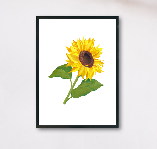 floraler Kunstdruck aquarell Sonnenblume