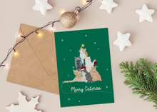 Lade das Bild in den Galerie-Viewer, Weihnachtskarte für Katzenfans mit verschiedenen Katzen, die übereinander sitzend mit Weihnachtsbaumdekoration einen Weihnachtsbaum ergeben und englischem Schriftzug Merry Catmas auf dunkelgrünem Hintergrund
