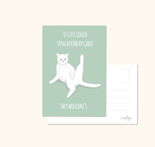 Lade das Bild in den Galerie-Viewer, humorvolle Postkarte zum Geburtstag für Katzenliebhaber*innen mit Abbildung einer Katze auf mintfarbenem Hintergrund und Spruch if cats could send birthday cards they wouldn&#39;t
